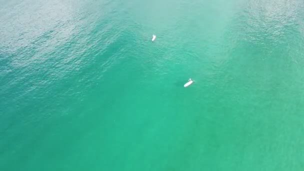 Aerial View Top Stand Paddleboarding — Stock Video