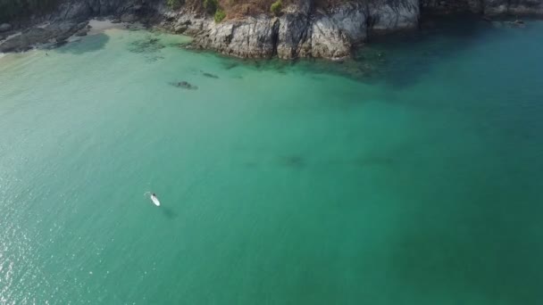 Vista Aérea Cima Para Baixo Até Stand Paddleboarding — Vídeo de Stock