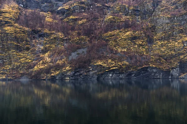 Fjord and a motley mountain — Stock Photo, Image