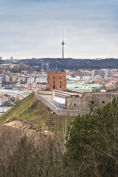 Gediminas kasteeltoren — Stockfoto