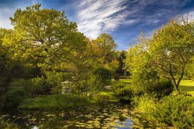 sonbahar yatay, bir su birikintisi 