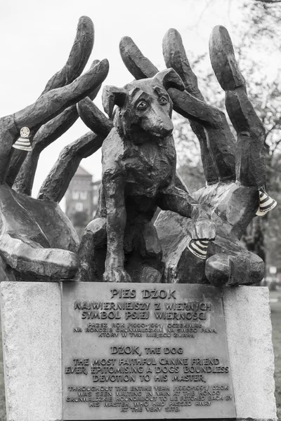Monument till hunden Dzok — Stockfoto