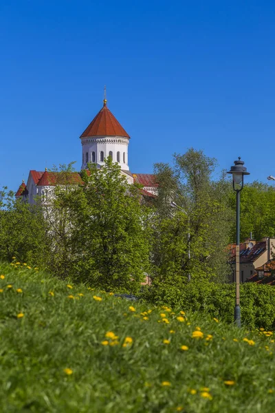 Katedra Najświętszej Maryi Panny w Wilnie — Zdjęcie stockowe