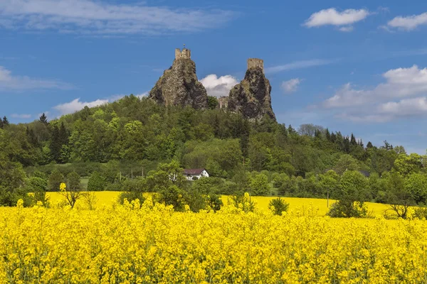 Ruins of the ancient troski castle — Stock Photo, Image