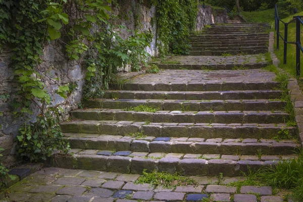 Eine Geheimnisvolle Steintreppe Und Eine Alte Rissige Mauer Mit Kletter — Stockfoto