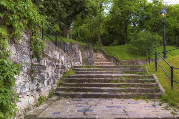 Paisaje Con Vistas Una Hermosa Misteriosa Escalera Piedra Rodeada Árboles —  Fotos de Stock