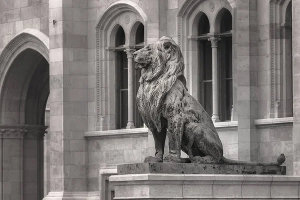 Black-and-white image of a sculpture of a proud and haughty lion sitting on the parapet of the stairs and guarding the entrance to the building