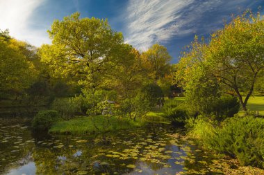 Sonbaharın başında ağaçlarla çevrili küçük bir gölet.