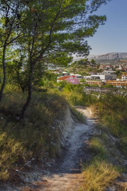 Çam ağaçlarını geçerek Hırvatistan 'ın küçük bir taşra kasabasına giden kırsal bir yol.