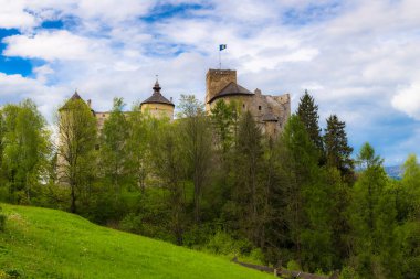 Antik Niedzica Şatosu (Dunajec), yüksek ağaçlarla çevrili yüksek bir uçurumun üzerindeki antik bir kaledir.