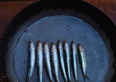 sprats balıkları bir satır, kopya uzay yeri 