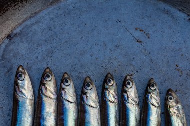 sprats balıkları bir satır, kopya uzay yeri 