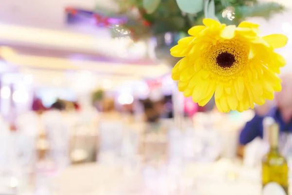 Gelbe Sonnenblume Vordergrund Verschwommenes Restaurant Hintergrund Stockbild