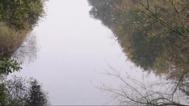 Lago autunnale con piccole onde d'acqua — Video Stock