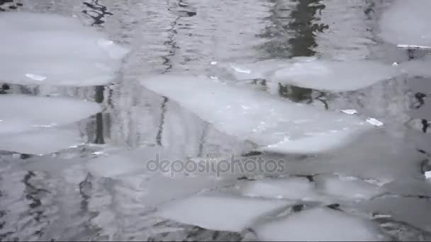 Ice floes op een rivier — Stockvideo