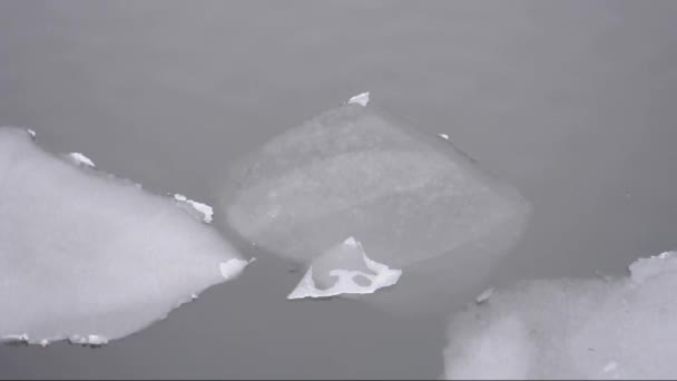Όγκους πάγου σε ένα ποτάμι — Αρχείο Βίντεο