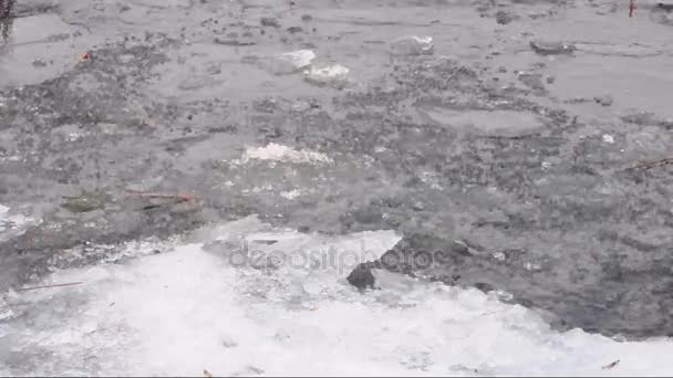 Rivière avec des floes de glace par une journée froide d'hiver — Video