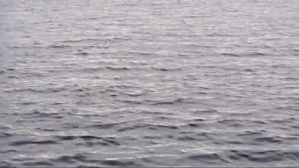 Ποταμός με μικρά θαλάσσια κύματα — Αρχείο Βίντεο