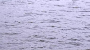 su dalgaları bir Nehri üzerinde