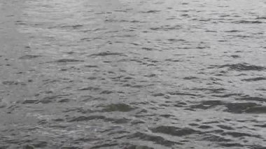 su dalgaları bir Nehri üzerinde