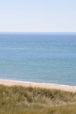 Kuzey Denizi kıyılarında uzun otlar ile