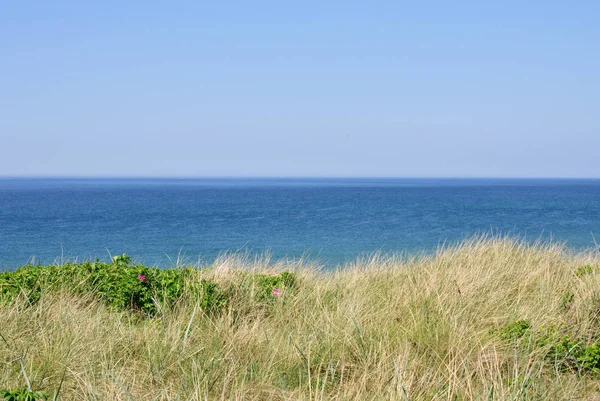 Costa del mare del Nord con erbe lunghe — Foto Stock