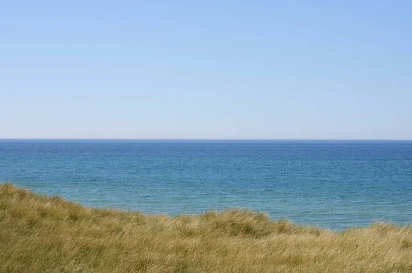長い草の北海の海岸 — ストック写真