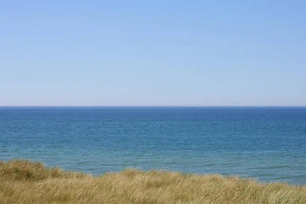 Costa do mar do Norte com gramíneas longas — Fotografia de Stock