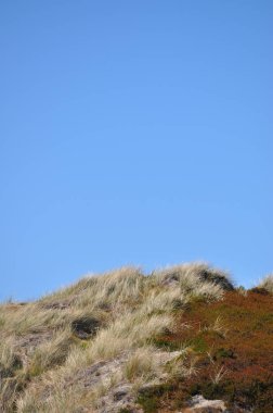 Kumul manzara Kuzey Denizi sahilinde