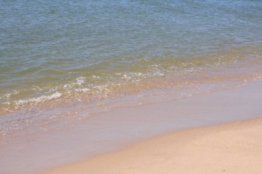 Kuzey Denizi Sahili kum plaj  