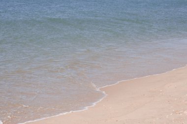 Kuzey Denizi Sahili kum plaj  