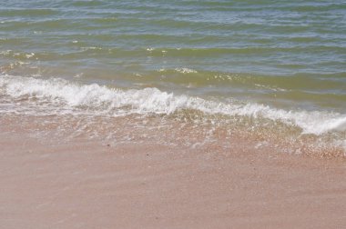 Kuzey Denizi Sahili kum plaj  