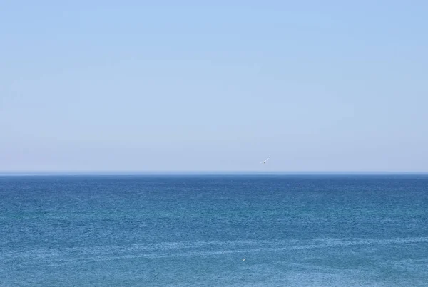 日当たりの良い夏の日に北の海 — ストック写真