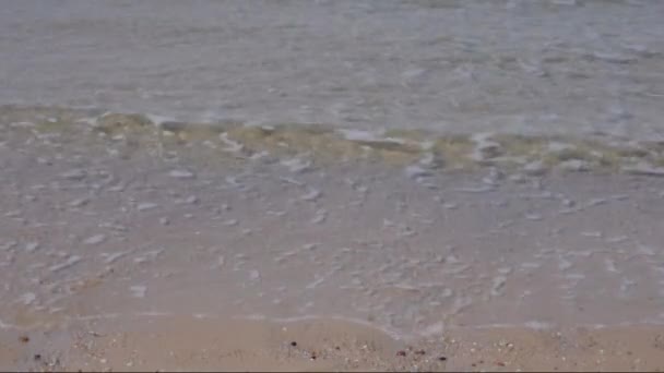 Піщаний пляж на сонячний день — стокове відео