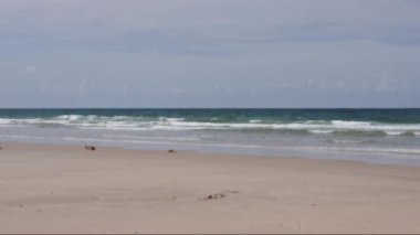 Güneşli bir kum plaj 