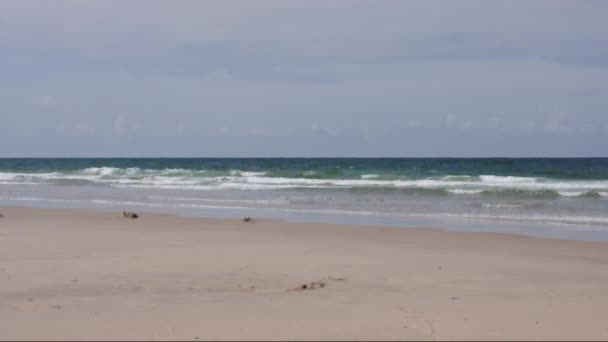 Zandstrand op een zonnige dag — Stockvideo