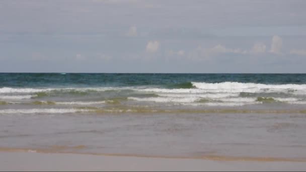 Песчаный пляж в солнечный день — стоковое видео