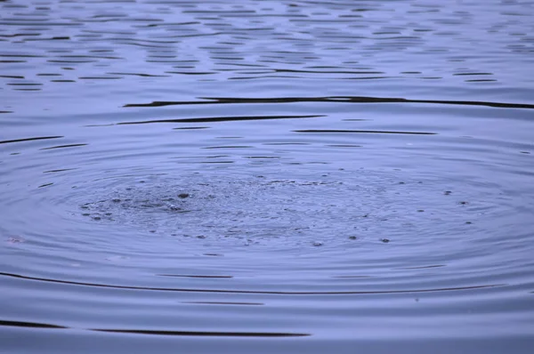 Onde d'acqua circolari — Foto Stock