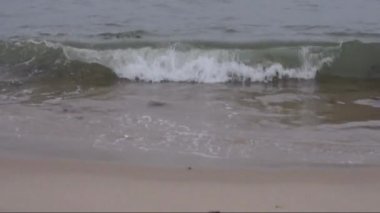 Yağmurlu bir sonbahar günü Kuzey Denizi kıyısında