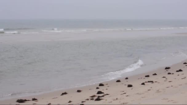 Costa do mar do Norte em um dia chuvoso de outono — Vídeo de Stock