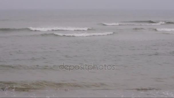 Noordzeekust op een regenachtige herfstdag — Stockvideo