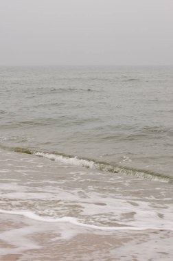 Yağmurlu bir sonbahar günü Kuzey Denizi kıyısında