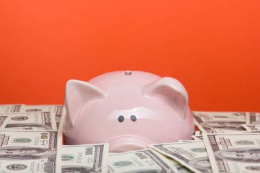 Domuz kumbarası ve dolar nakit para. İş, finans, yatırım, tasarruf ve yolsuzluk kavramı