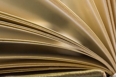 Açık kitap, ahşap masadaki ciltli kitaplar. Okula dönelim. Boşluğu kopyala