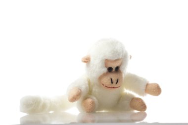 Soft Toy Baby Monkey on isolated White Background