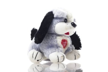 Cute puppy toy isolated on white background