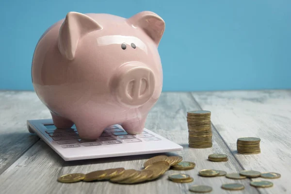 Piggy Bank en gouden munt. Spaar-en financierings concept — Stockfoto