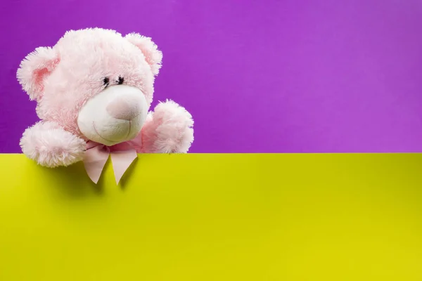 Urso de pelúcia bonito rosa no fundo de cor com espaço de cópia — Fotografia de Stock