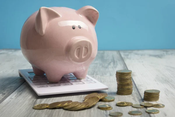 Piggy Bank en gouden munt. Spaar-en financierings concept — Stockfoto