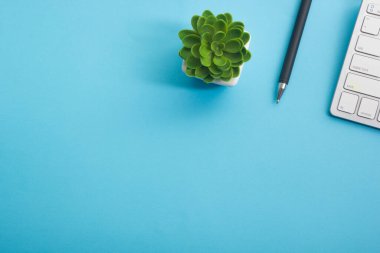 Dizüstü bilgisayarı, akıllı telefonu ve bir fincan kahveli diğer iş malzemeleri olan mavi masa ofisi. Metni kopyalamak için üst görünümü kullan. Desenci çalışma alanı düz masa üzerinde temel elementler yatıyordu